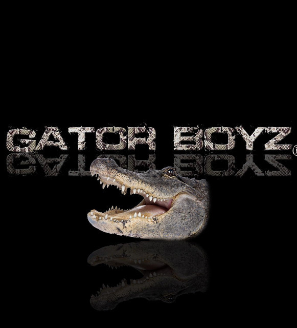 Gator Boyz | Spotify