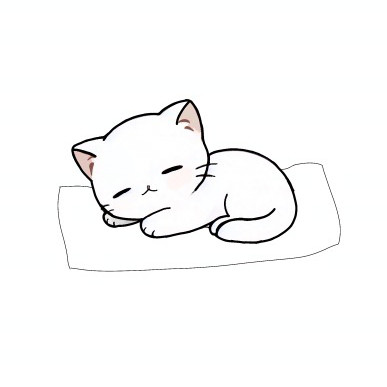 Kami KItten Studio