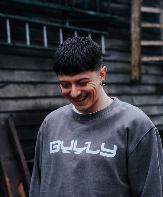 Bully Image