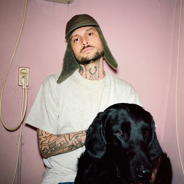 Stig Brenner image