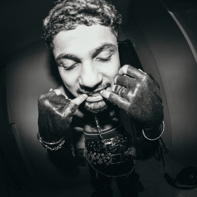 Husxain image