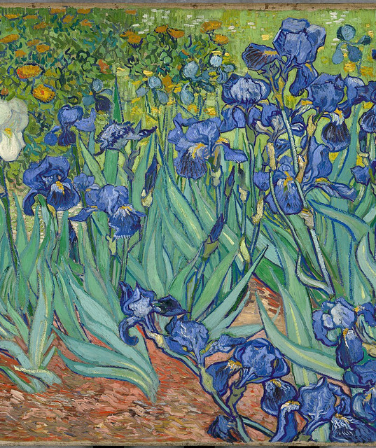 IRISES