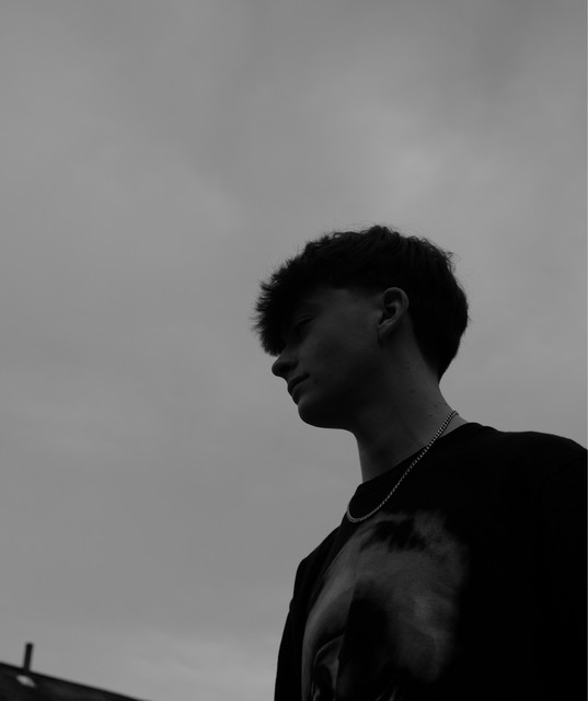 McDonough artist photo