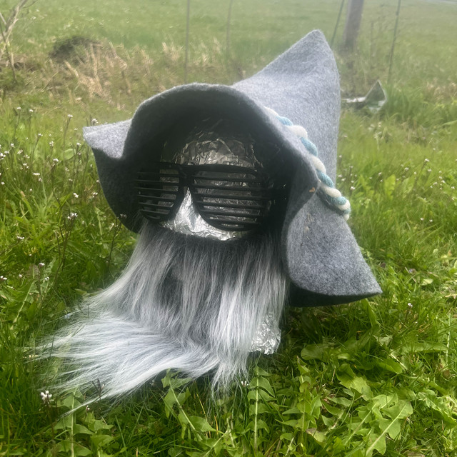 Robosepp