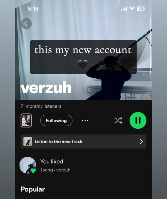 Yung Verzuh