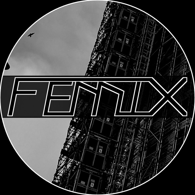 FEMIX