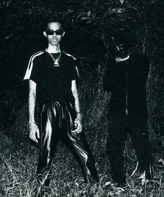 Icy BP | Spotify