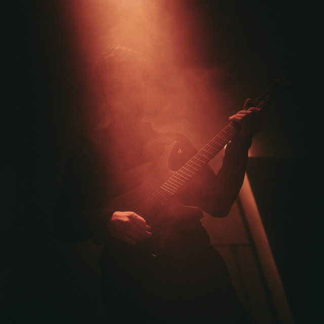 Plini photo