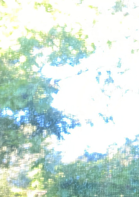 summermind image