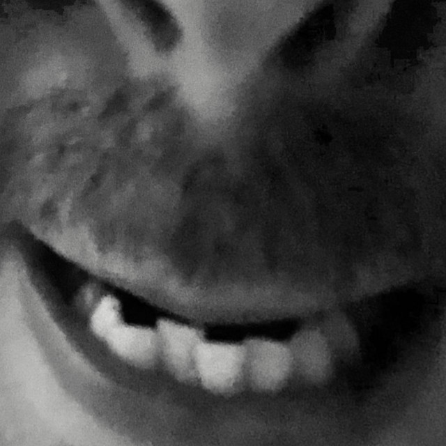 Robix