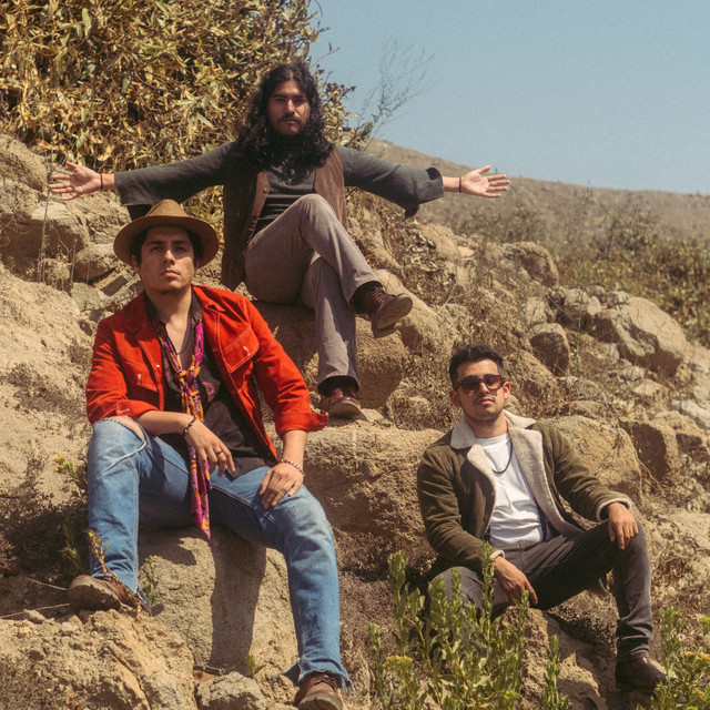 Mantarraya Power Trio | Spotify