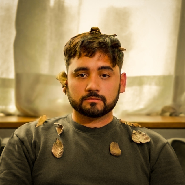 Van Merle | Spotify