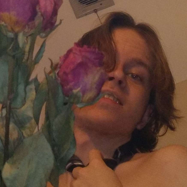 Planty X