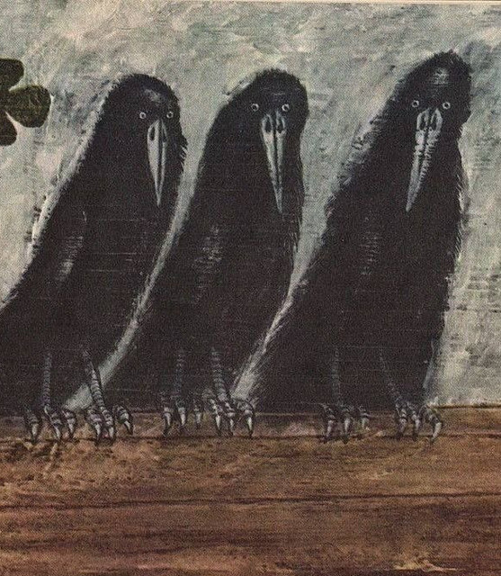 corvid