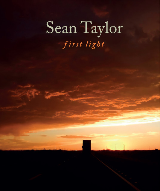 Sean Taylor image