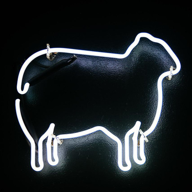 Electricsheep42