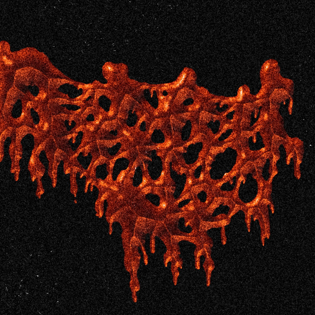 DxBxAxIxRxHxFx Gorenoise