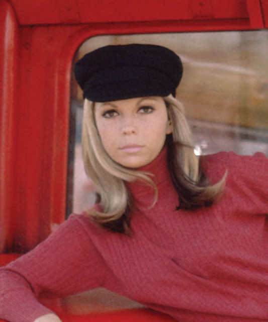 Nancy Sinatra image