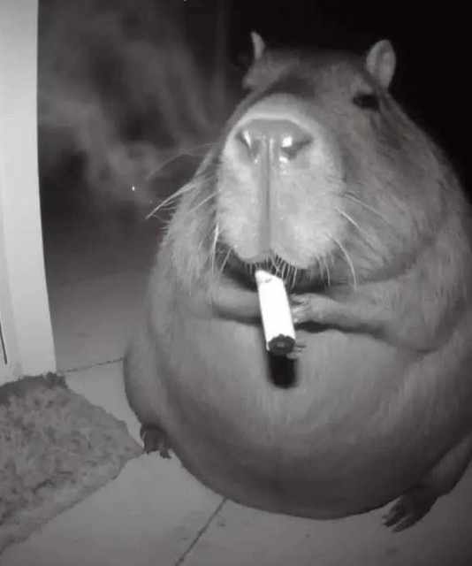 before and after cigarettes Transform Your Skin After Quitting Smoking