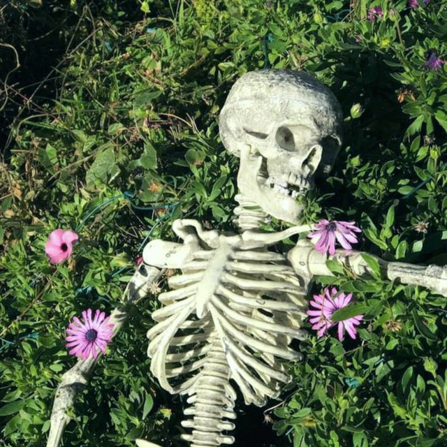 porch corpse