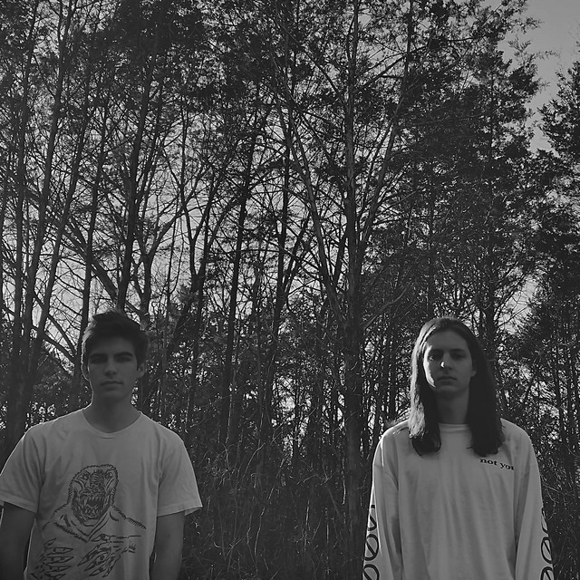 Koi Pond | Spotify
