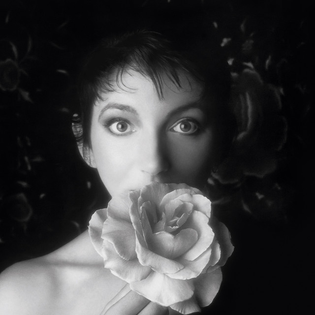 Kate Bush image