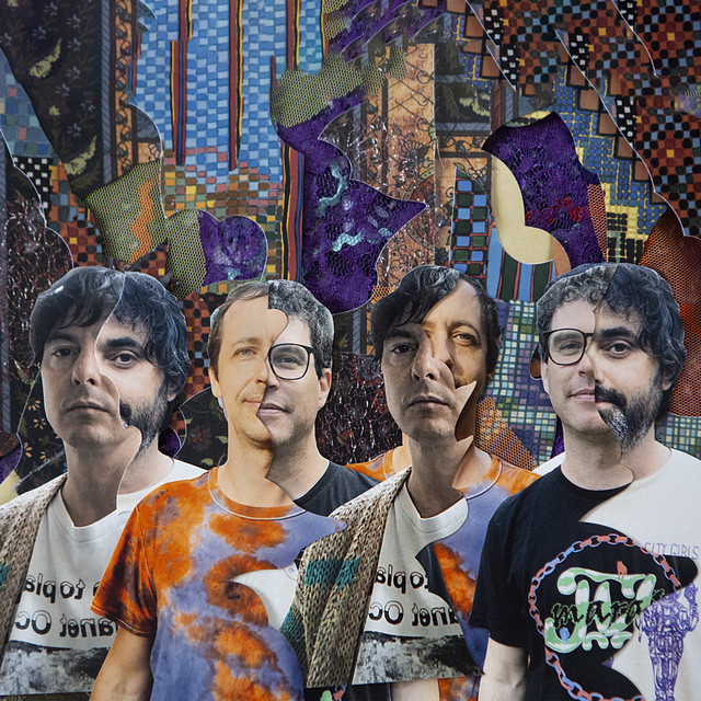 Animal Collective image