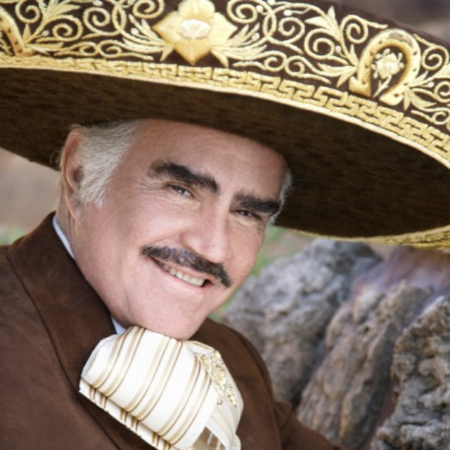 Vicente Fernández image