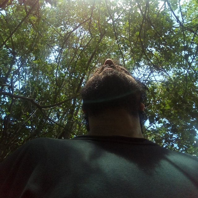 Lost in Reverb