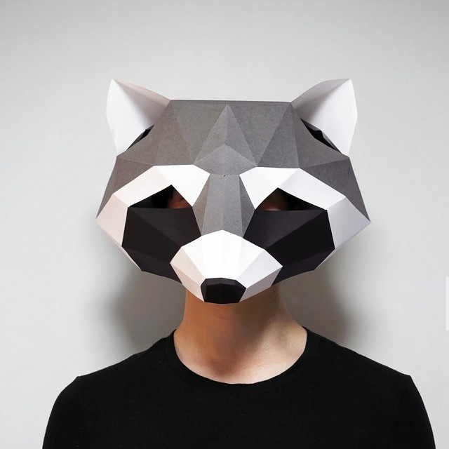 Rocky Raccoon