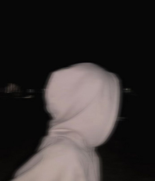 Aanil