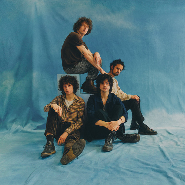 Mystery Jets | Spotify
