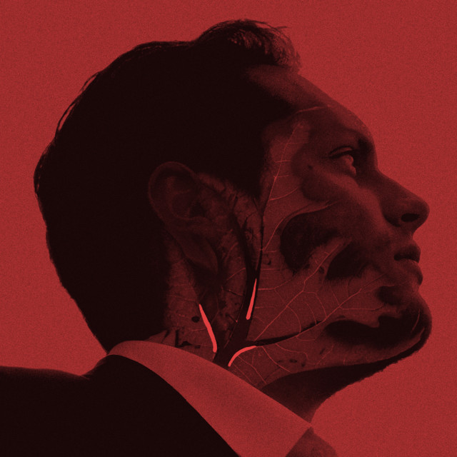 Cope | Spotify