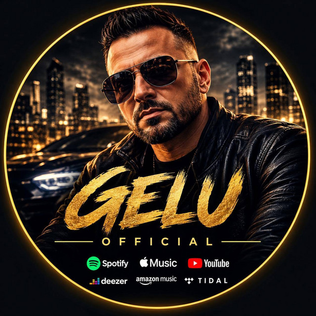 Gelu Ionut Vechiu