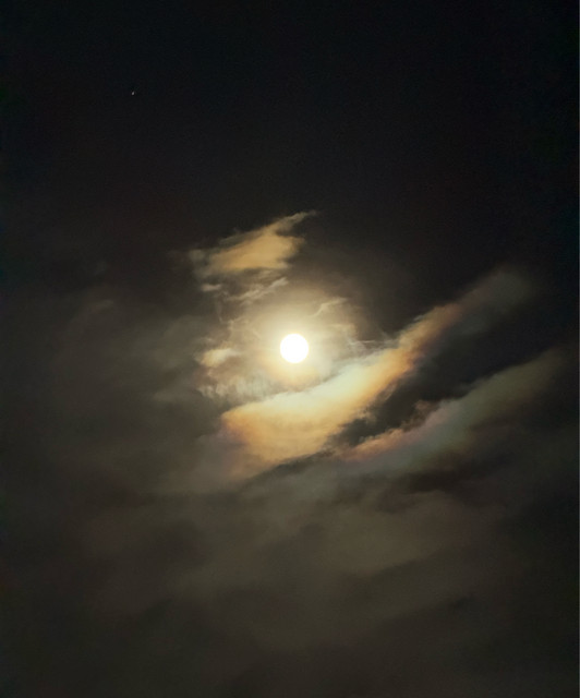 Gabe Moon