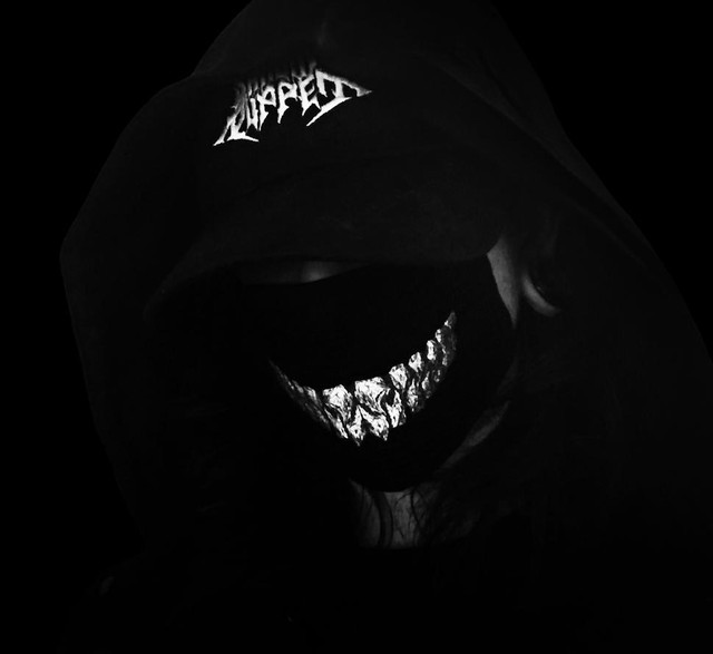 Shadow Puppet | Spotify