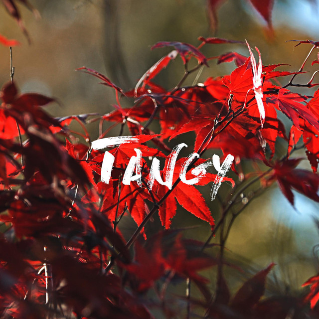 Tangy | Spotify