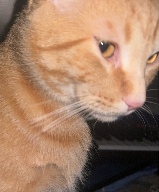 :3