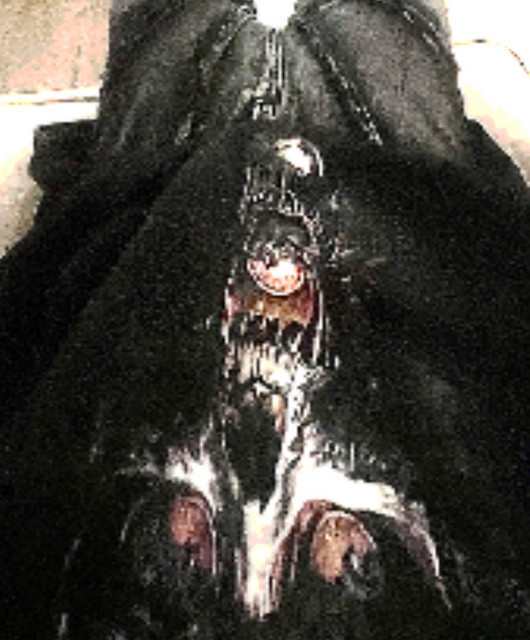 kishin