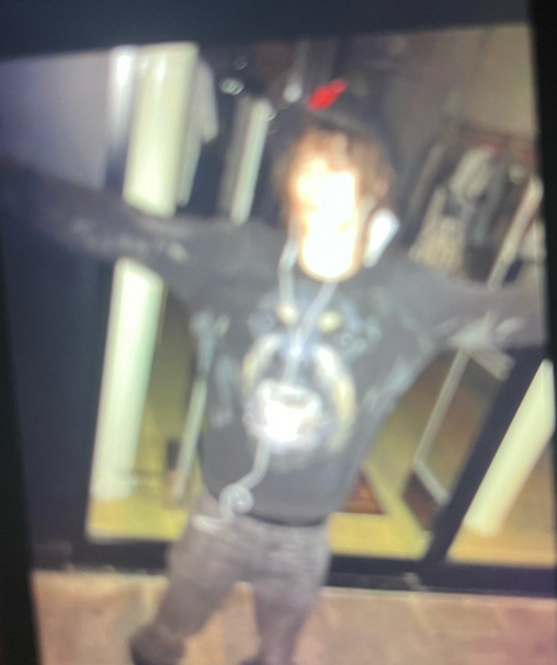zane lynchetti
