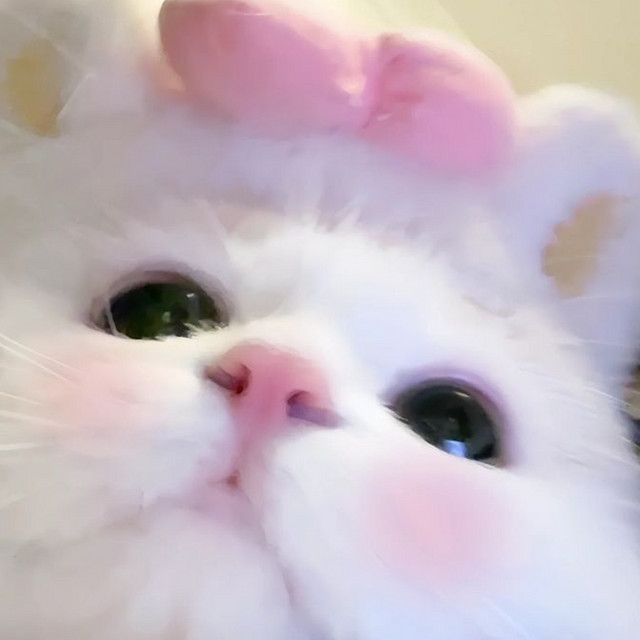 elliesxofc