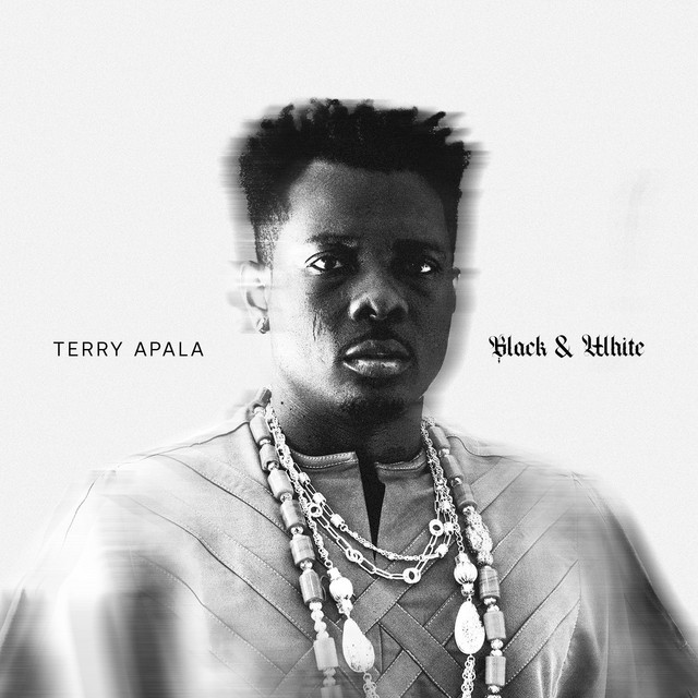 Terry Apala image