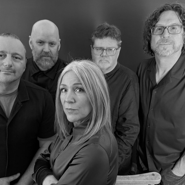 The Darling Buds image