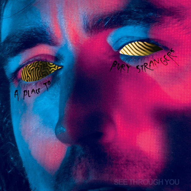 A Place To Bury Strangers Spotify