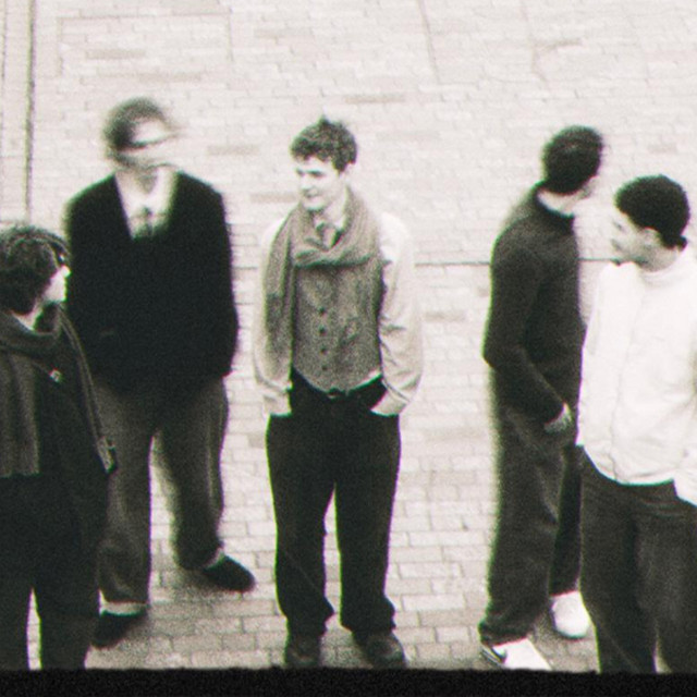 Why Horses? image