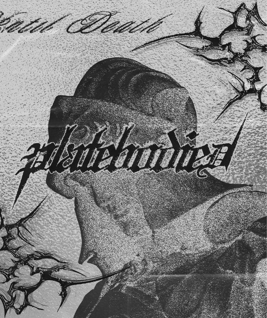 PLATEBODIED