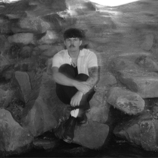 Weareforests