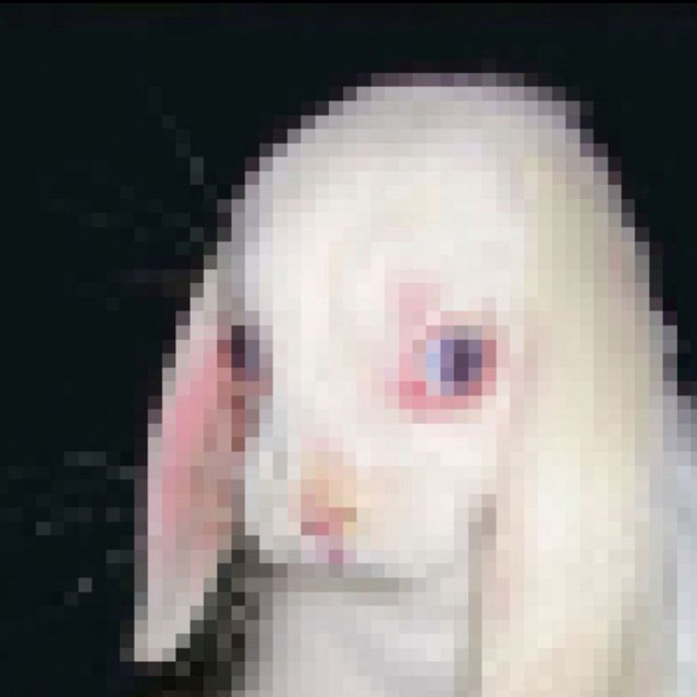 kyadi