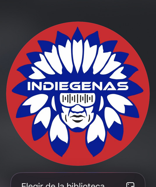 INDIEGENAS artist photo