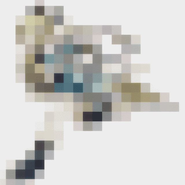 aevndigital